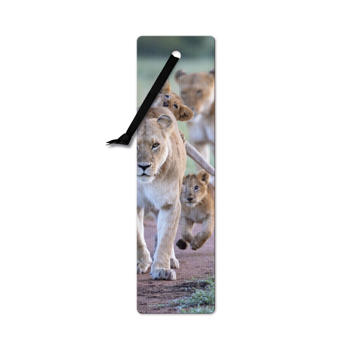 Semn de carte 3D - African Lion Cubs | If (That Company Called)