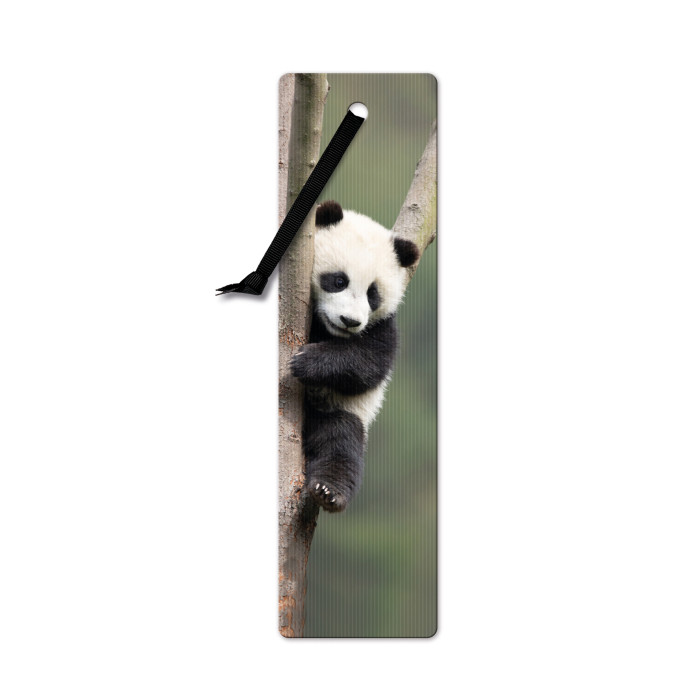 Semn de carte 3D - Giant Panda | If (That Company Called)