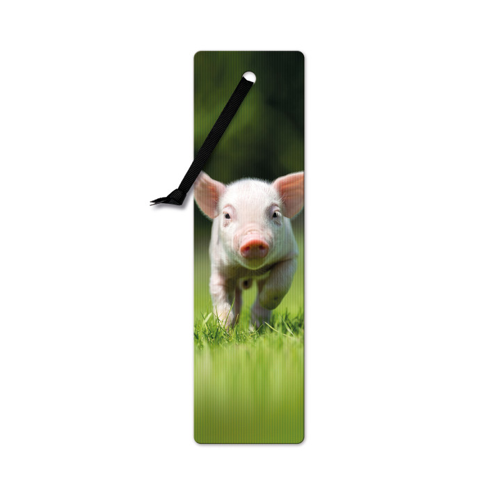 Semn de carte 3D - Piglet | If (That Company Called)