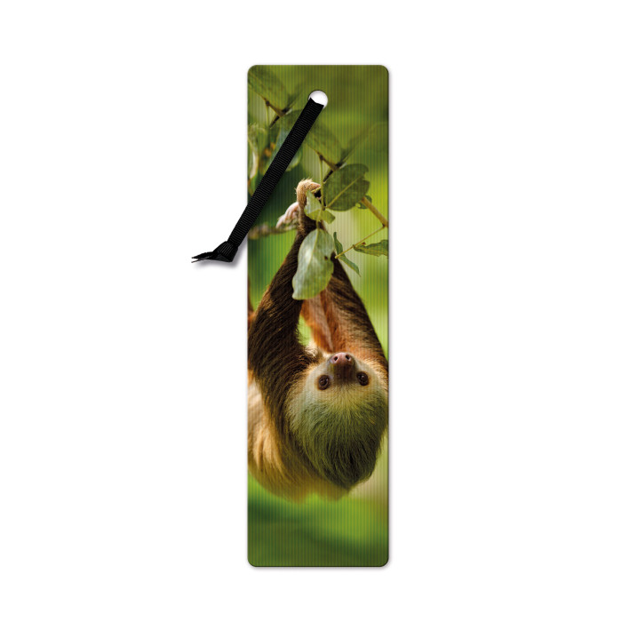 Semn de carte 3D - Two-toed Sloth | If (That Company Called)