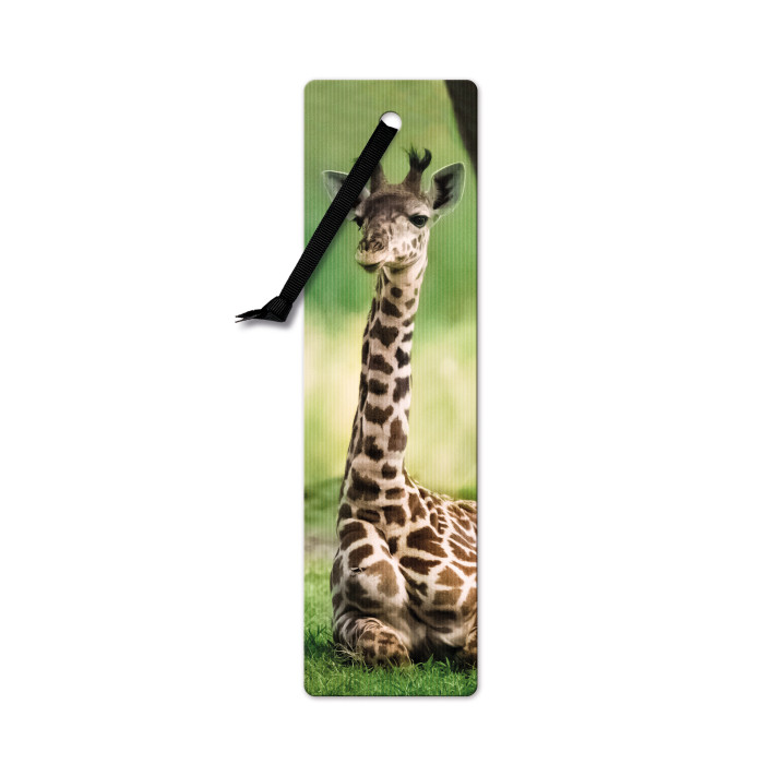 Semn de carte 3D - Giraffe | If (That Company Called)