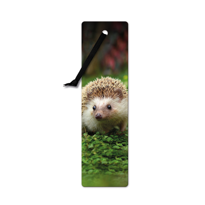 Semn de carte 3D - Hedgehog | If (That Company Called)