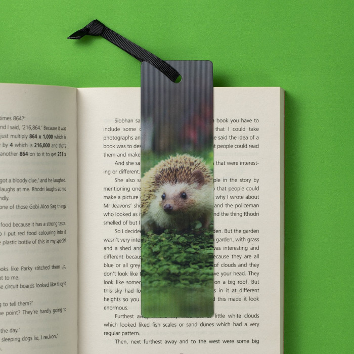 Semn de carte 3D - Hedgehog | If (That Company Called) - 1 | YEO