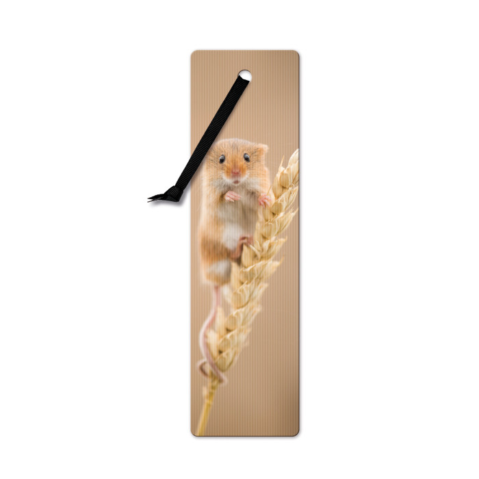 Semn de carte 3D - Harvest Mouse | If (That Company Called)