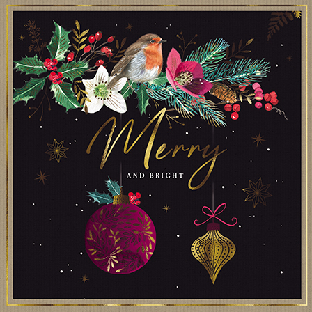 Set felicitari - Christmas Robins | Great British Card Company