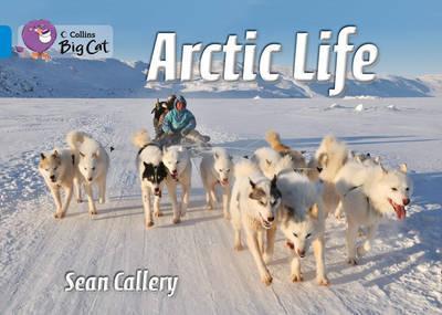 Vezi detalii pentru Arctic Life | Sean Callery