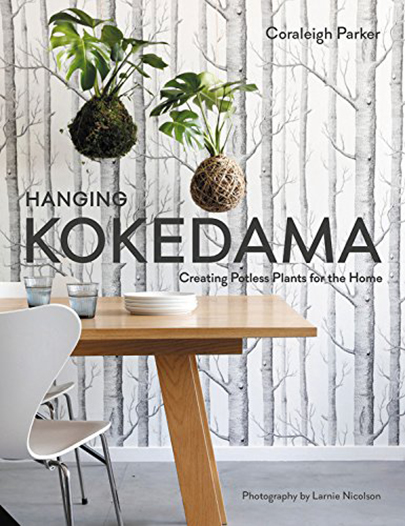 Hanging Kokedama | Coraleigh Parker