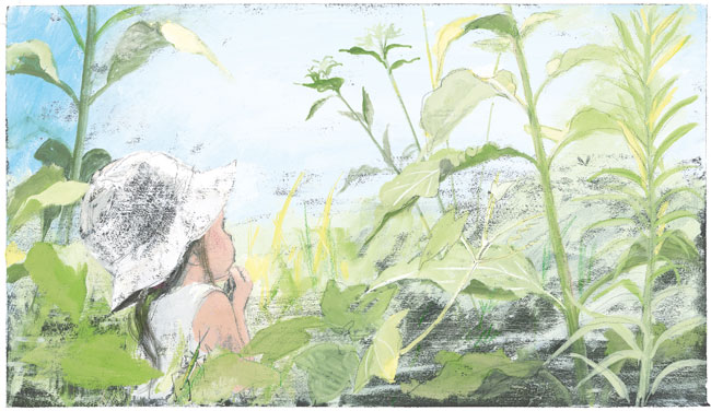 In iarba | Yukiko Kato Cartea Copiilor imagine 2022