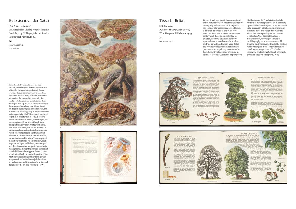 The Art of the Illustrated Book | Julius Bryant - 2 | YEO