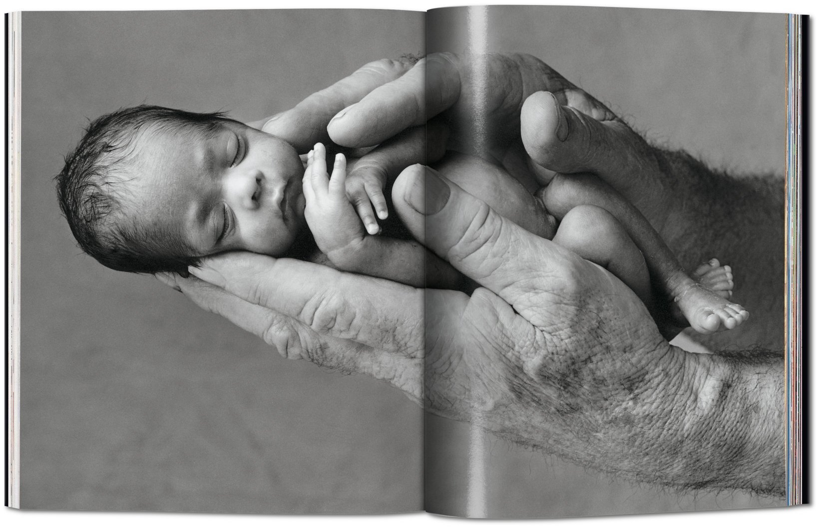 Anne Geddes: Small World | Holly Hughes, Anne Geddes - 1 | YEO