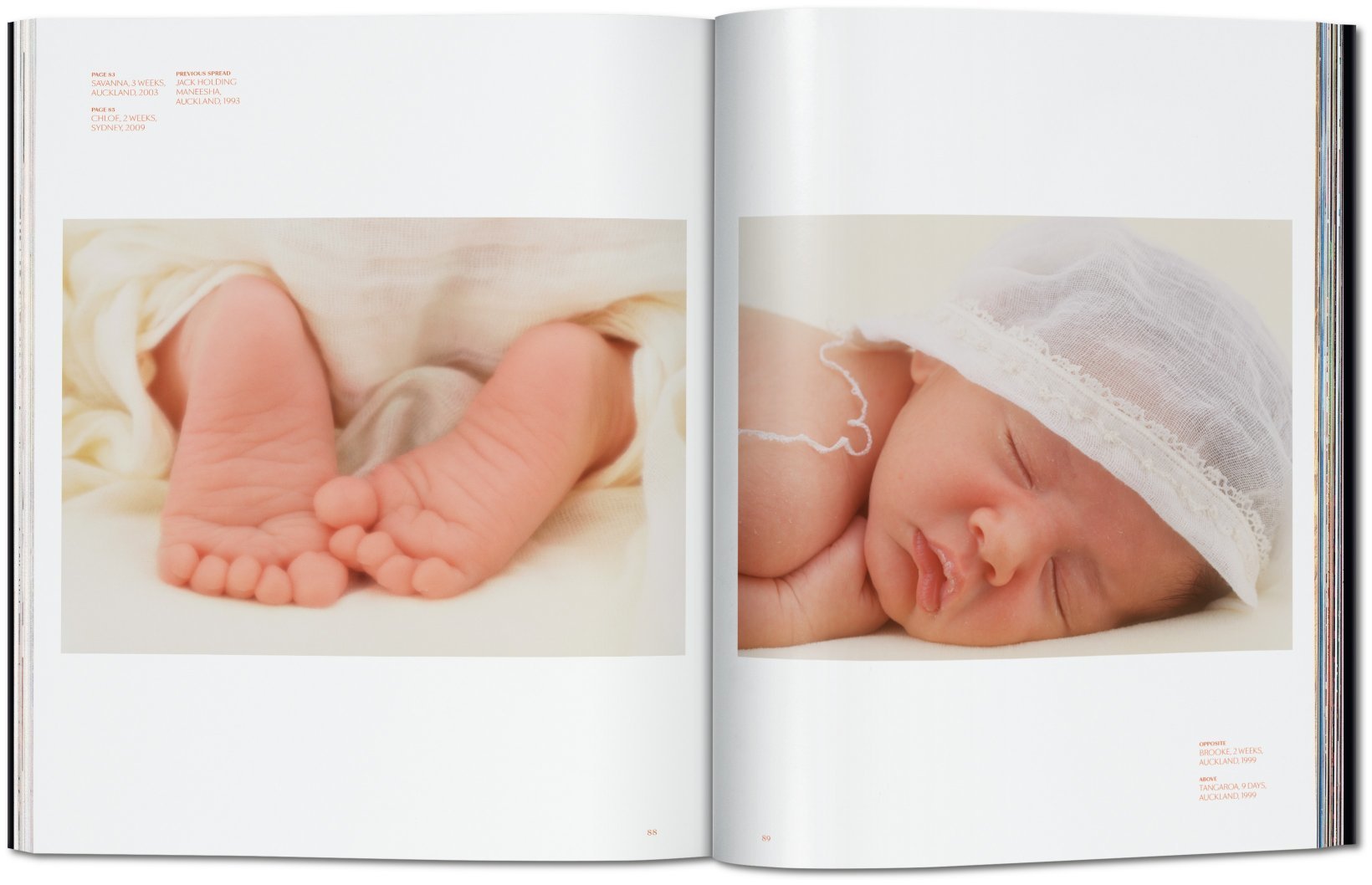 Anne Geddes: Small World | Holly Hughes, Anne Geddes - 2 | YEO