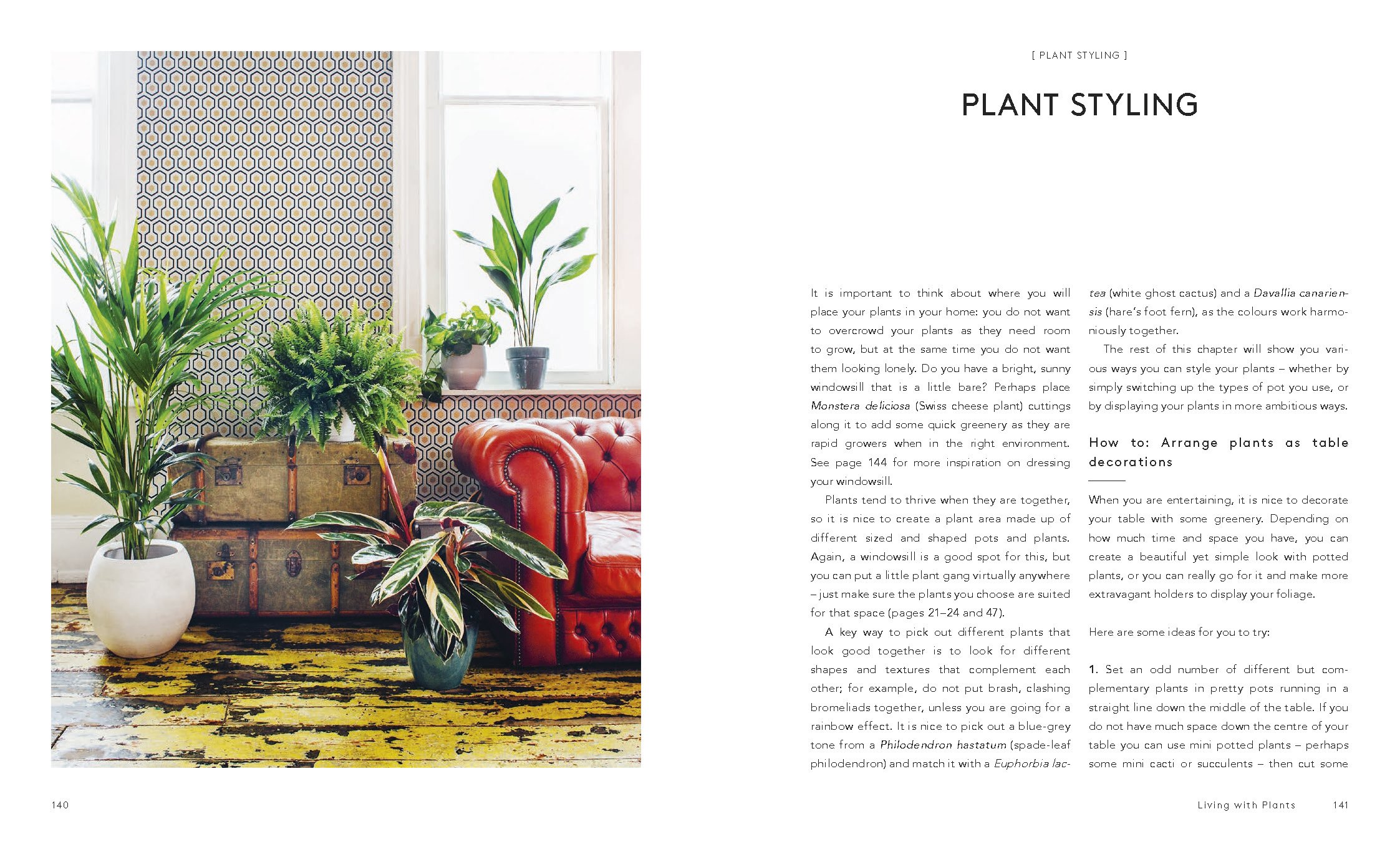 Living with Plants: A Guide to Indoor Gardening | Sophie Lee