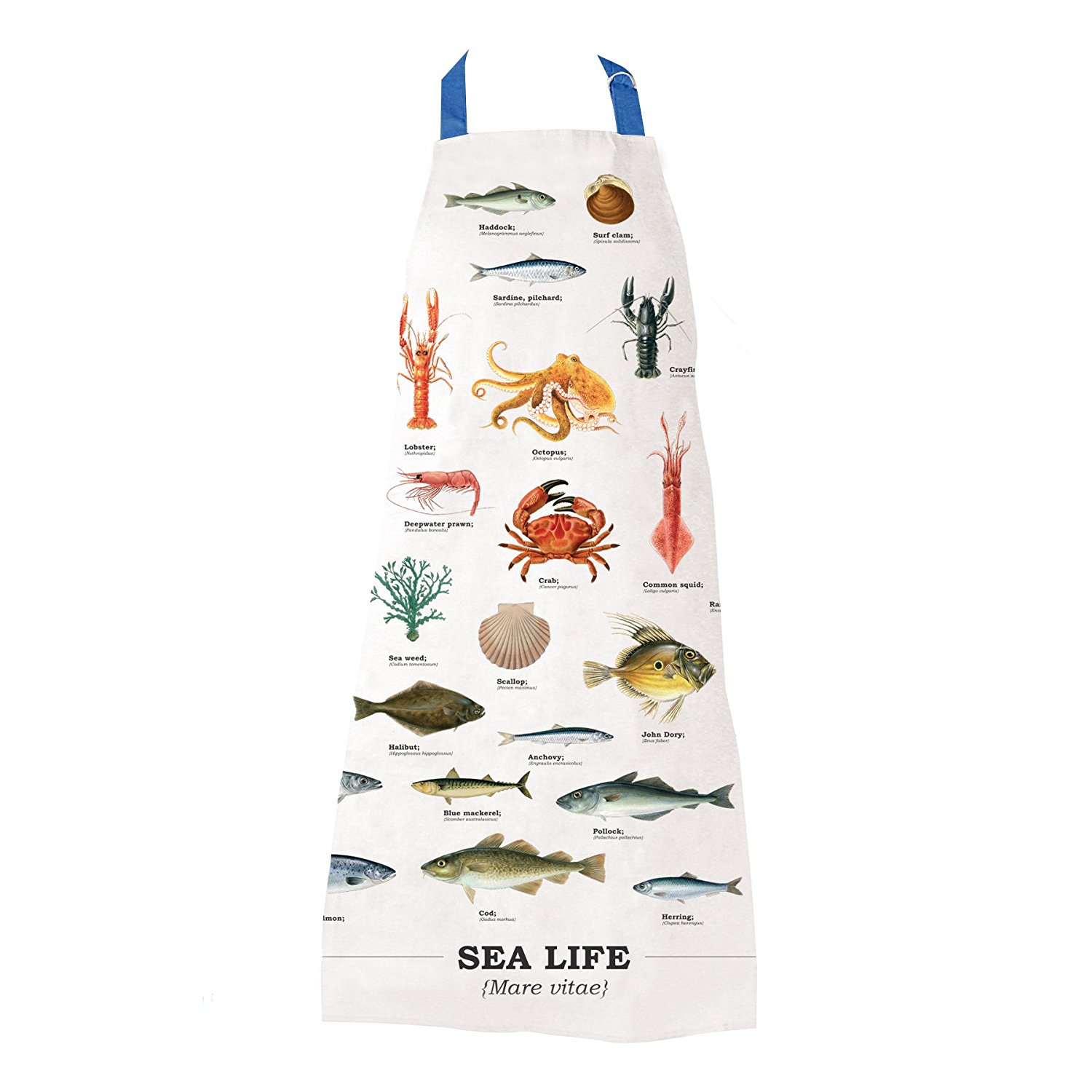 Sort pentru bucatarie - Sea Life | Gift Republic