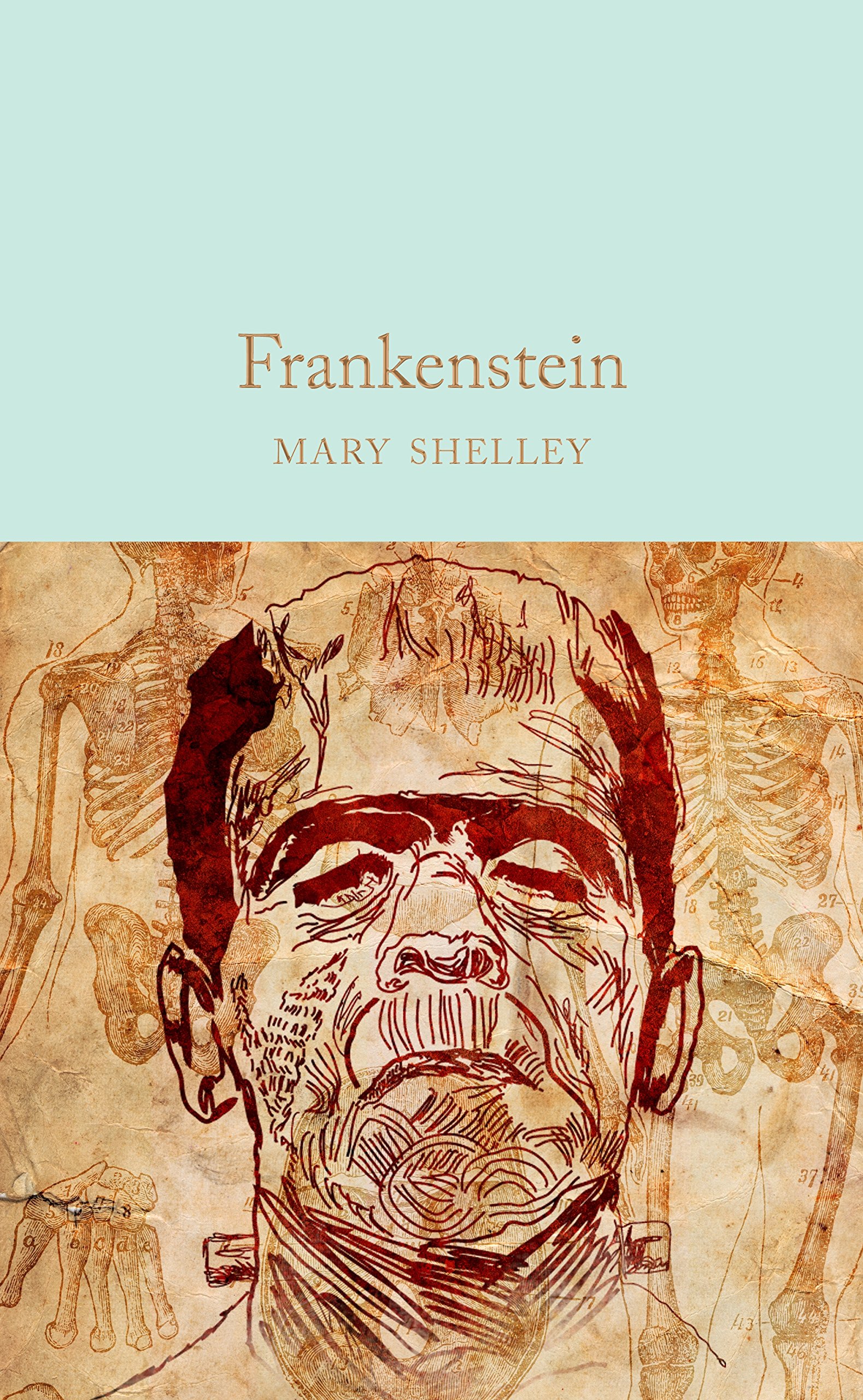 Frankenstein | Mary Wollstonecraft Shelley