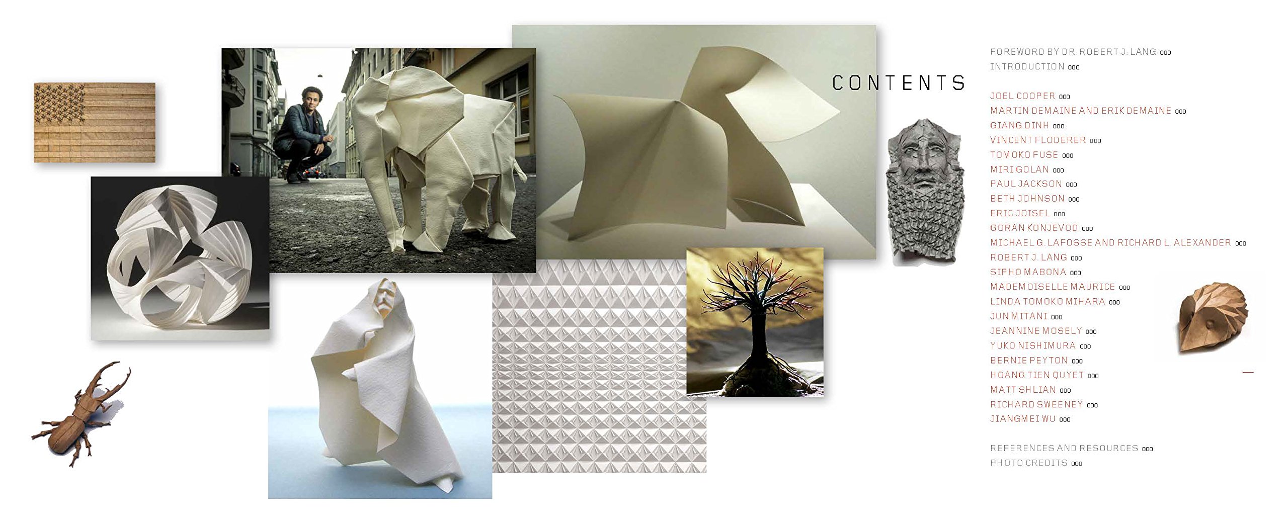 New Expressions in Origami Art | Meher Mcarthur, Robert J. Lang - 1 | YEO