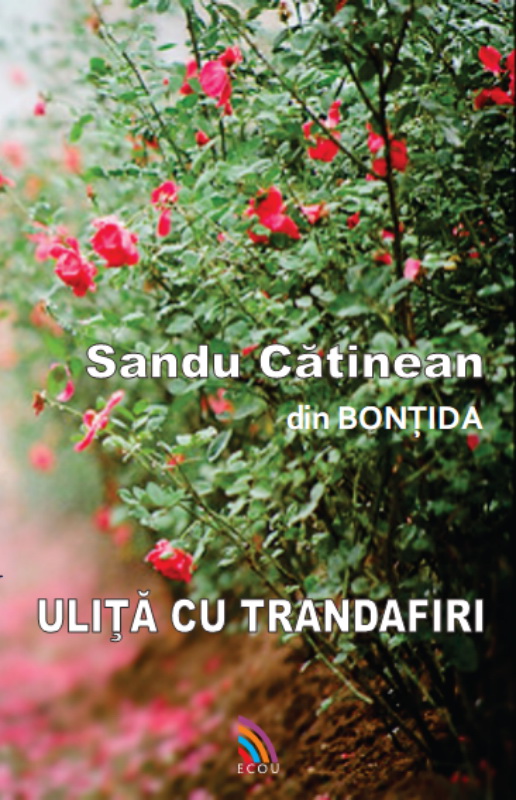 Ulita cu trandafiri | Sandu Catinean carturesti.ro Carte