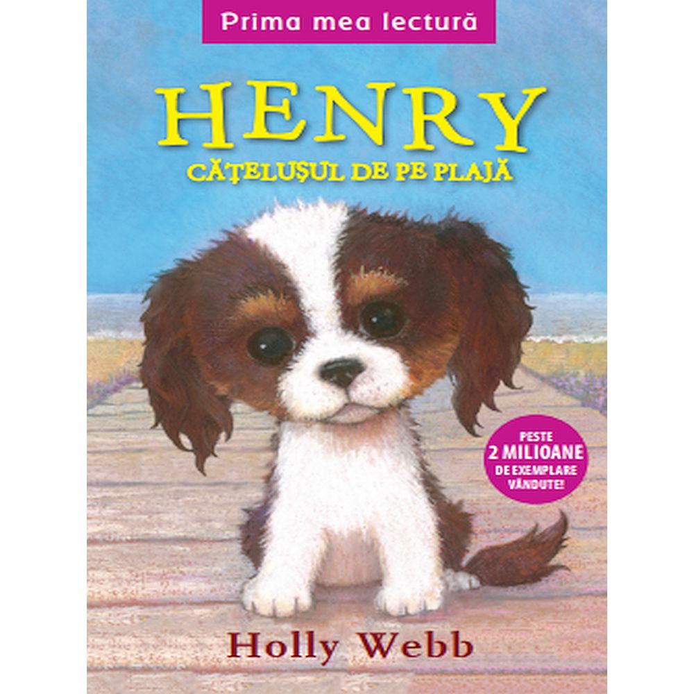 Henry, catelusul de pe plaja | Holly Webb