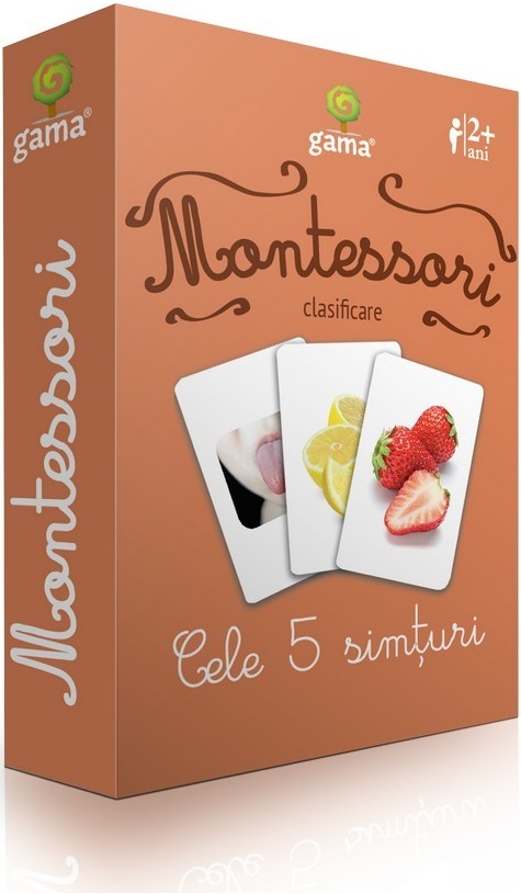 Carti de joc Montessori - Cele 5 simturi | 