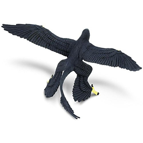 Figurina - Microraptor | Safari - 1 | YEO