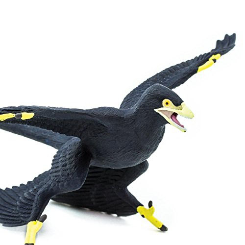 Figurina - Microraptor | Safari - 4 | YEO