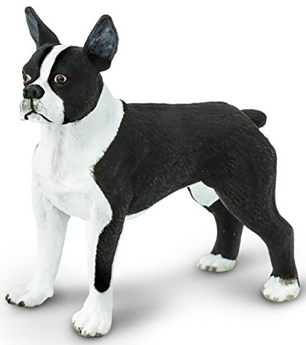 Figurina - Caine Boston Terrier | Safari