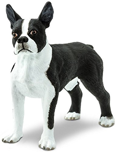 Figurina - Caine Boston Terrier | Safari - 1 | YEO