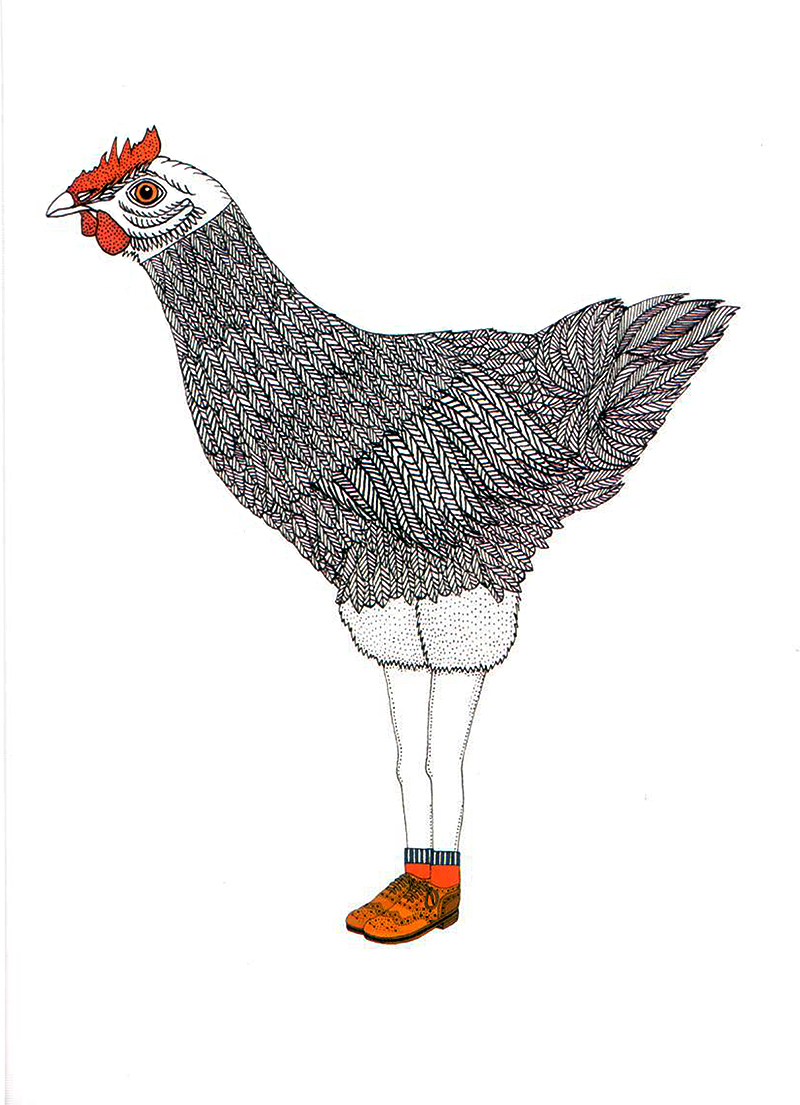 Felicitare Animal Legs - Chicken Legs | Orca Book Services