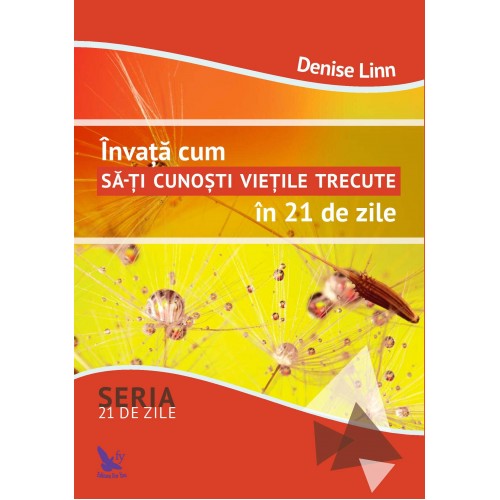 Invata cum sa-ti cunosti vietile trecute in 21 de zile | Denise Linn