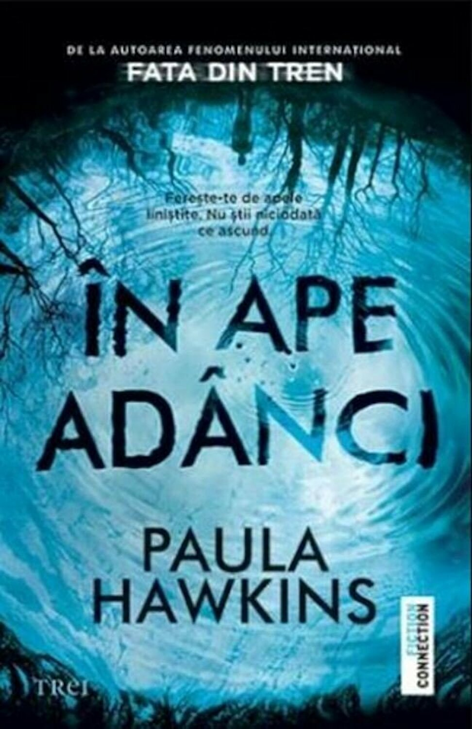 In ape adanci | Paula Hawkins