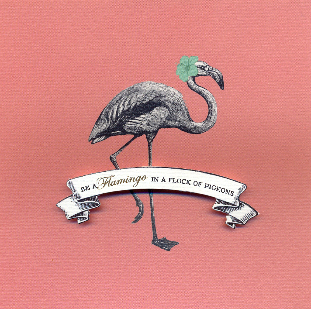 Felicitare - Be a flamingo in a flock of pigeons | Soul UK