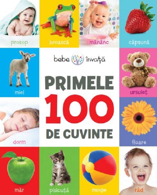 Bebe invata. Primele 100 de cuvinte |