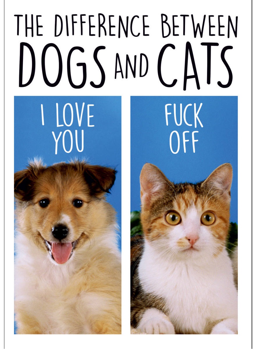 Felicitare - The Difference Between Dogs and Cats | Dean Morris Cards