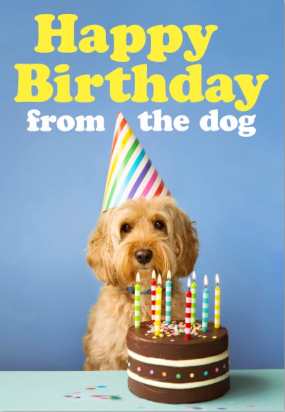 Felicitare - Happy Birthday from the Dog | Dean Morris Cards