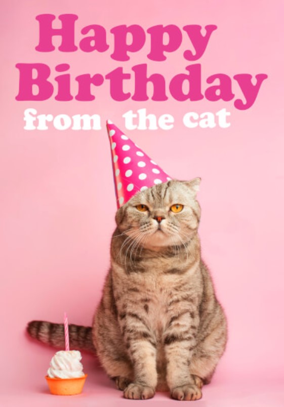 Felicitare - Happy Birthday from the Cat