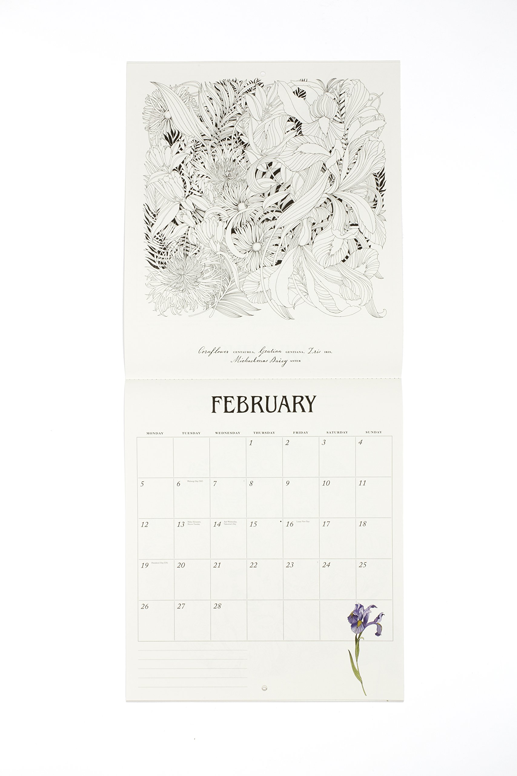 Floribunda 2018 Colouring Calendar | Laurence King Publishing