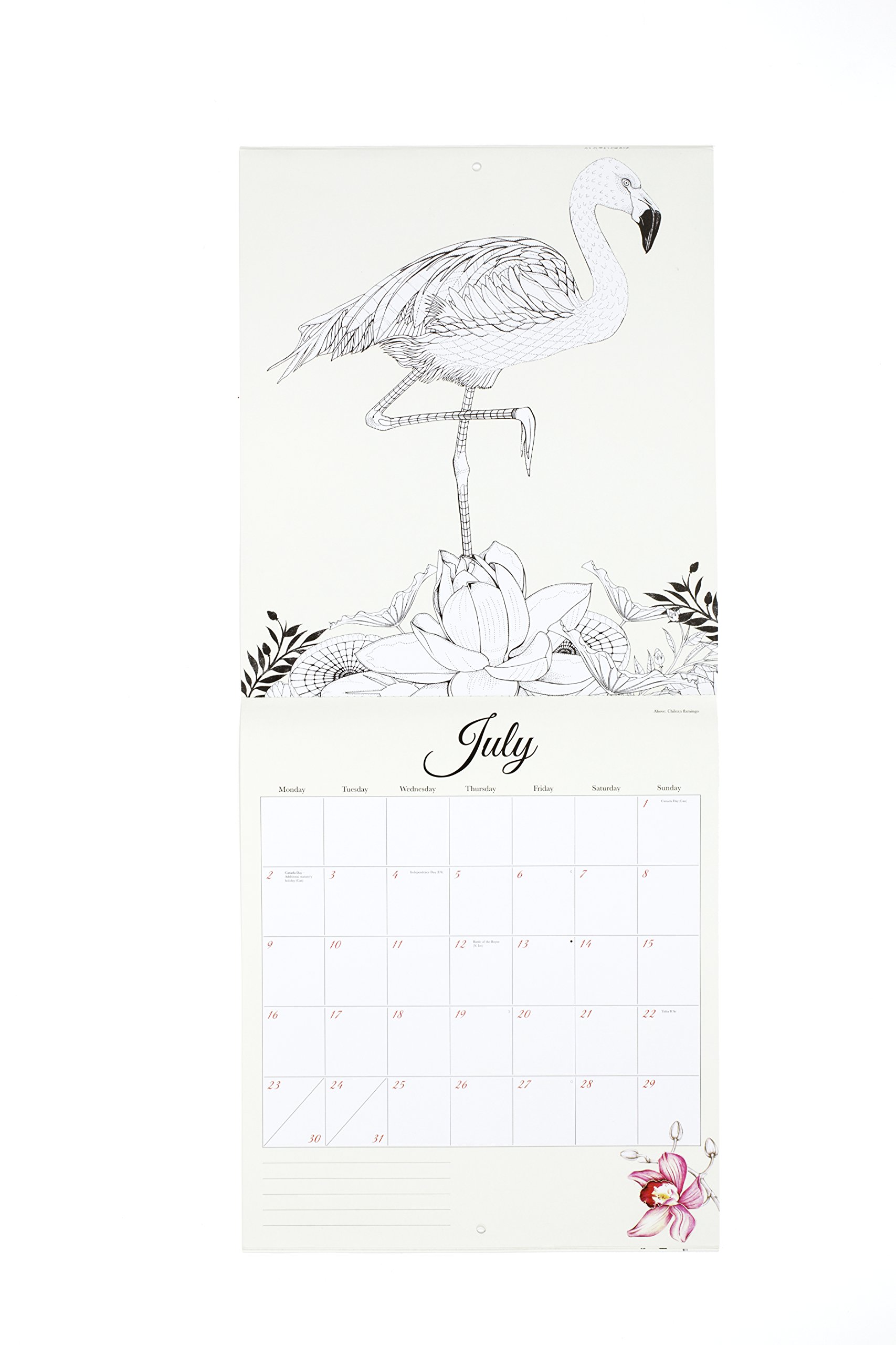 Birdtopia 2018 Colouring Calendar | Laurence King Publishing