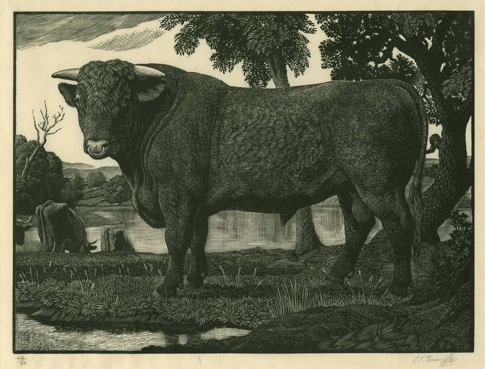 C F Tunnicliffe Prints - A Catalogue Raisonne | Robert Meyrick, Harry Heuser