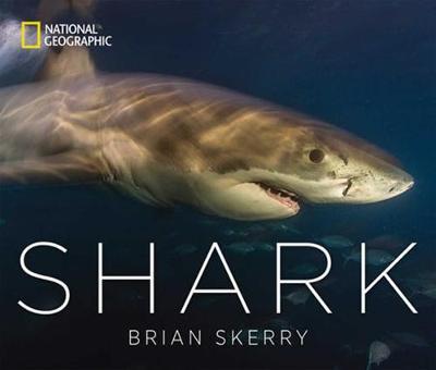 Shark | Brian Skerry