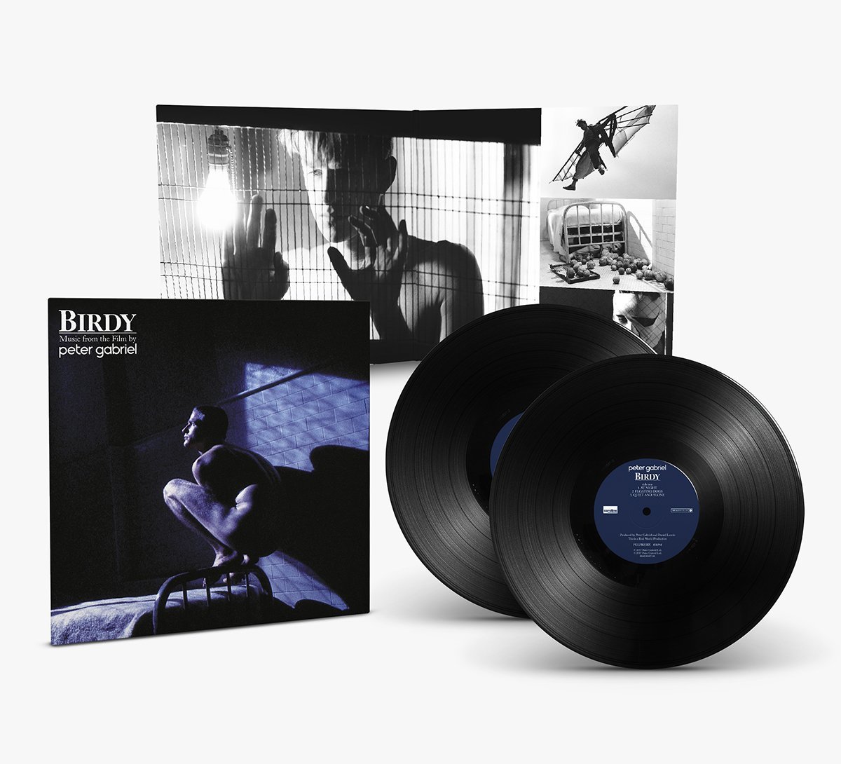 Birdy - Vinyl 45 RPM | Peter Gabriel