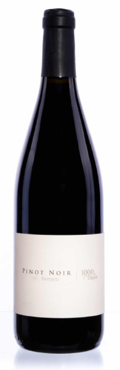 Vin rosu - Fintesti - Pinot Noir, sec, 2021 | 1000 de Chipuri