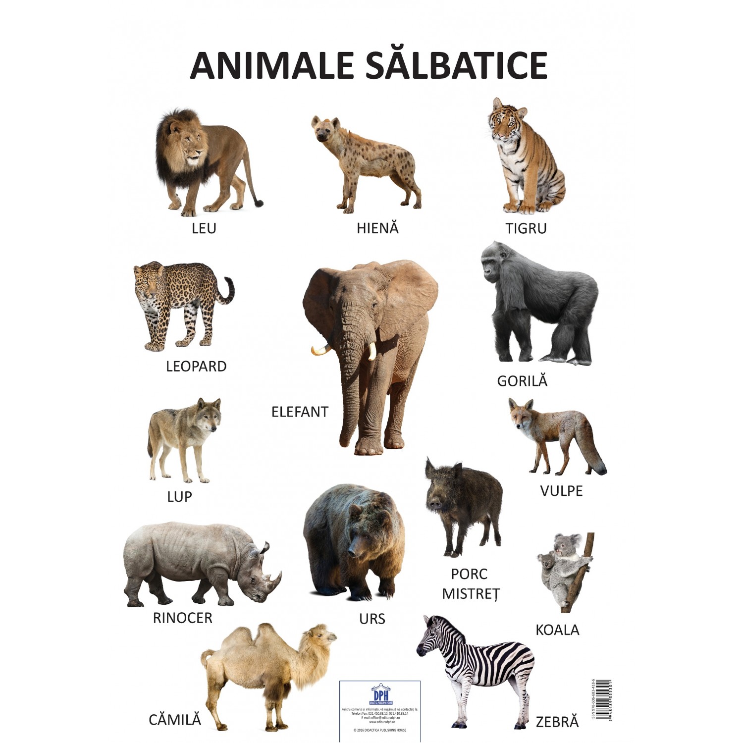 Plansa Animale Salbatice | carturesti.ro