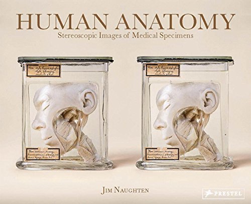 Human Anatomy | Jim Naughten