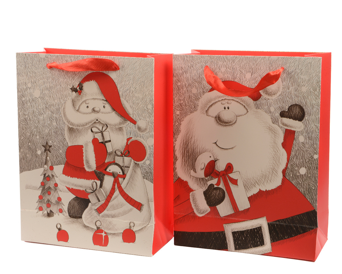  Punga pentru cadouri - Santa - mai multe modele | Kaemingk 