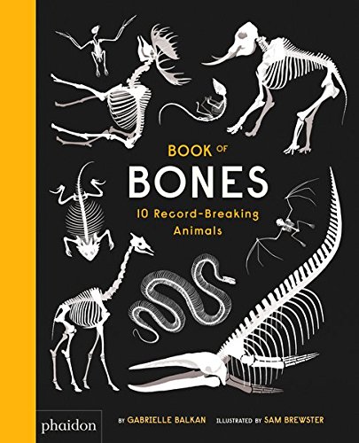 Book of Bones - 10 Record-Breaking Animals | Gabrielle Balkan - 3 | YEO