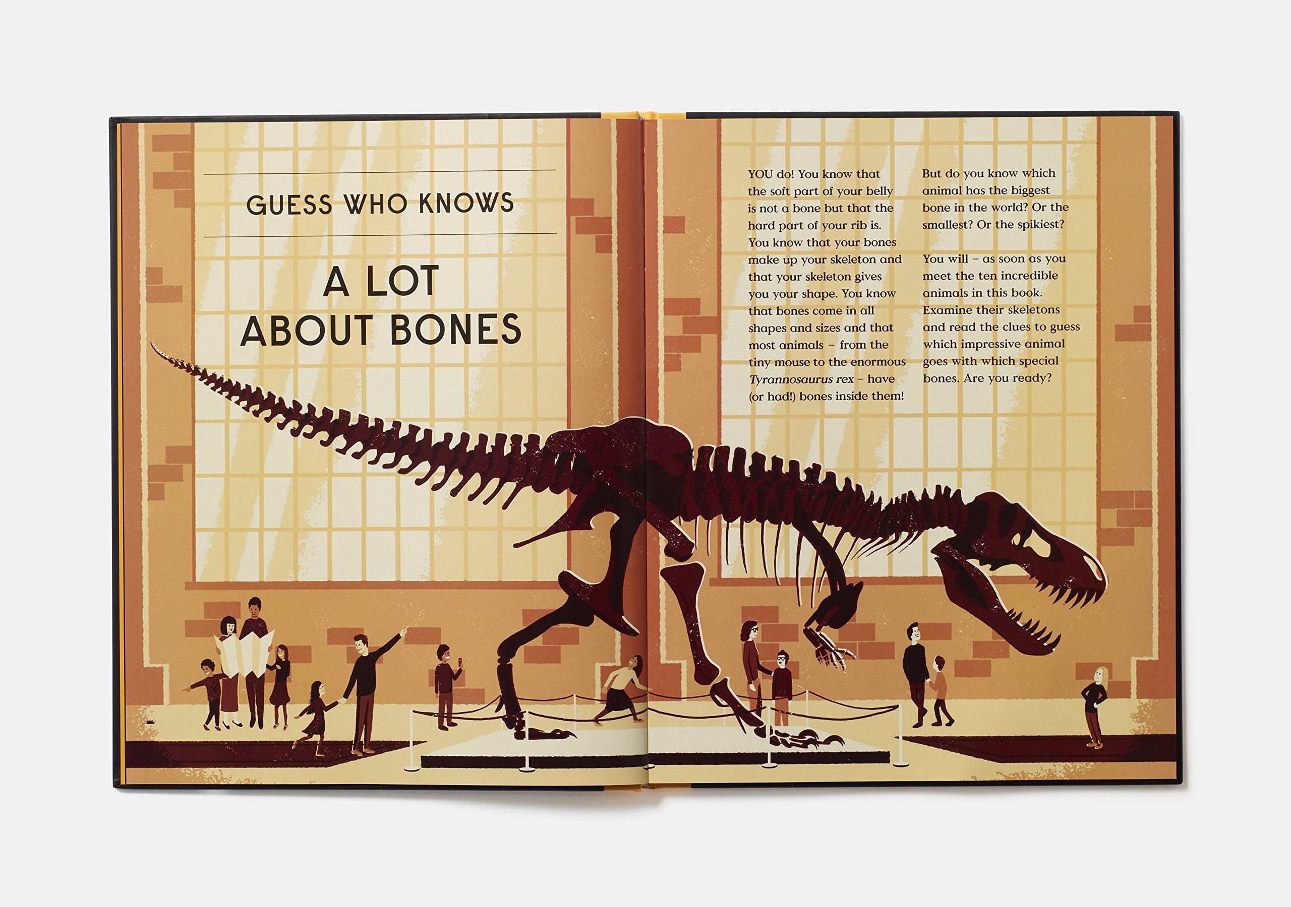 Book of Bones - 10 Record-Breaking Animals | Gabrielle Balkan - 2 | YEO