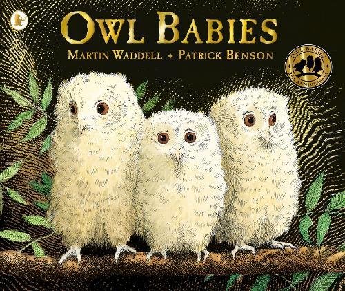 Owl Babies | Martin Waddell