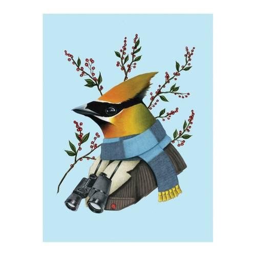 Berkley Bestiary Winter Waxwing Large Embellished Notecards | Galison