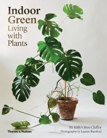 Indoor Green: Living with Plants | Mr Kitly\'s Bree Claffey, Lauren Bamford