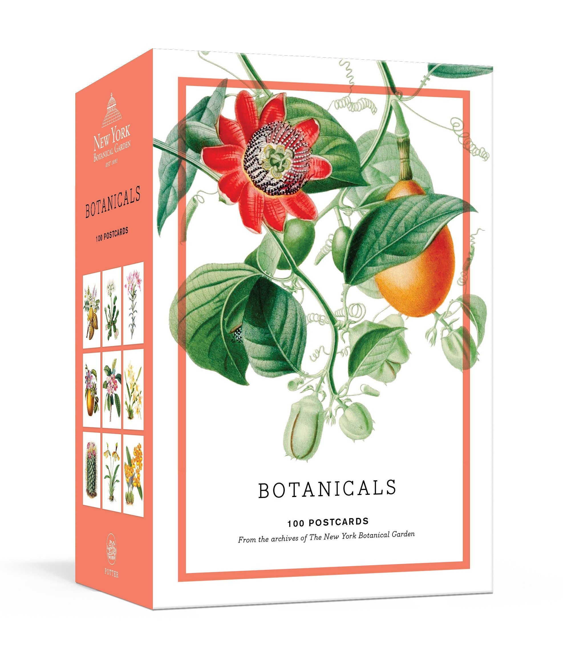 Carti postale-New York Botanical Garden | Random House