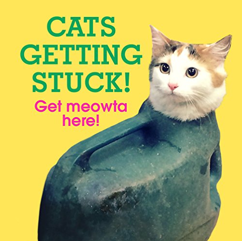 Cats Getting Stuck! |